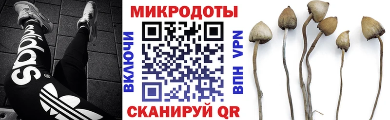 Галлюциногенные грибы MAGIC MUSHROOMS даркнет сайт omg онион Иланский